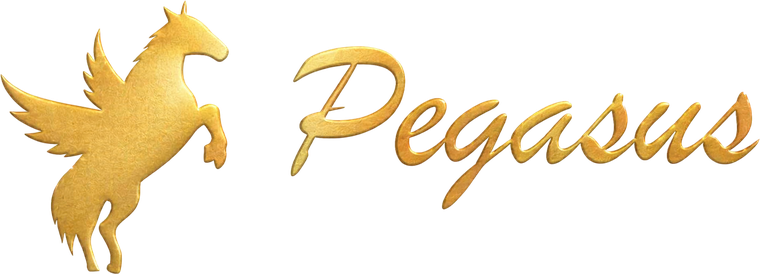 Pegasus Outsourcing Services LLP